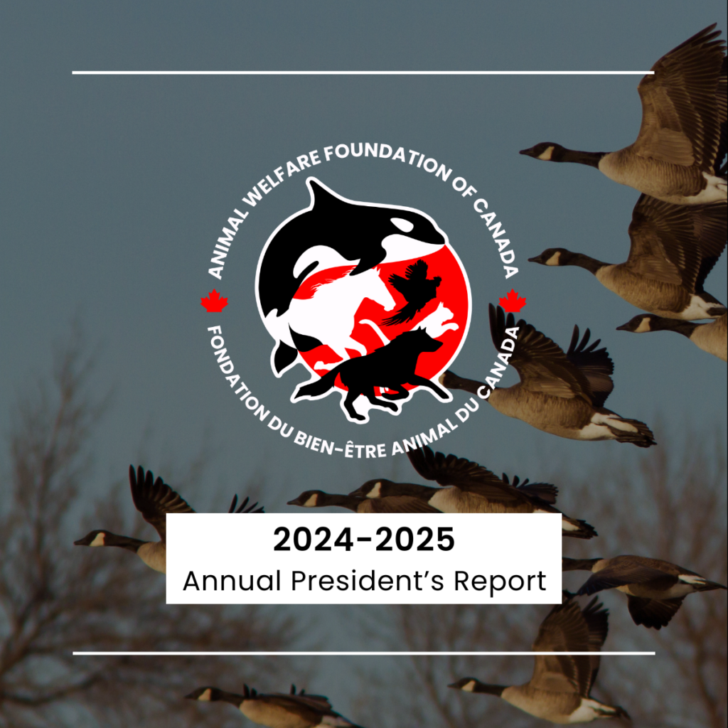 untitled design (13)